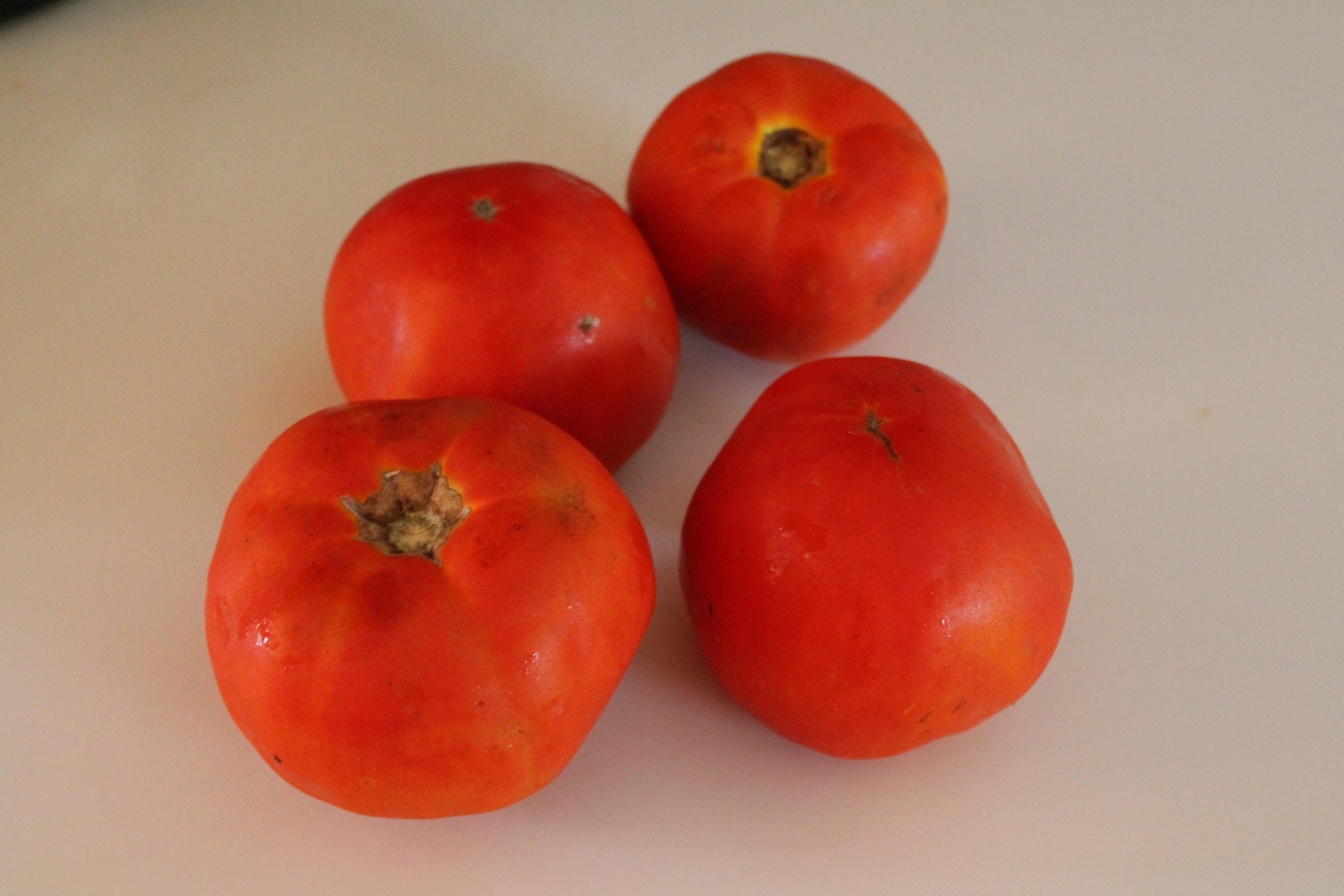 CSA Tomatoes